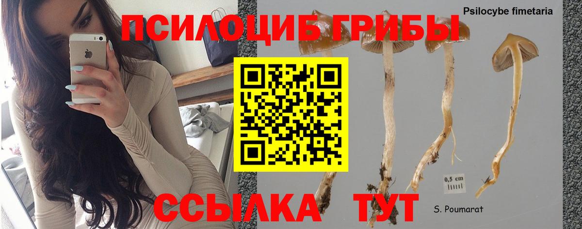 Омск  Псилоцибиновые грибы ЛСД  Вход с VPN  Галлюциногенные грибы Magic Shrooms 